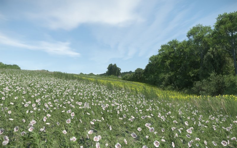 Immagine di Kingdom Come: Deliverance per PC Windows