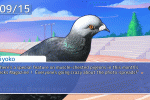 Hatoful Boyfriend è disponibile su PlayStation 4 e PlayStation Vita - Notizia