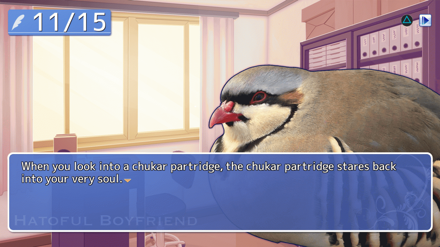 Hatoful boyfriend прохождение