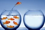 Grazie early adopter - Speciale