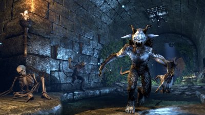 The Elder Scrolls Online: Tamriel Unlimited - Imperial City
