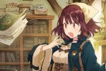 Atelier Sophie si mostra con un gran numero di immagini inedite - Notizia