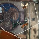Spider: Rite of the Shrouded Moon ha finalmente una data d'uscita su PC e iOS