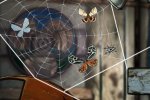 Spider: Rite of the Shrouded Moon ha finalmente una data d'uscita su PC e iOS - Notizia
