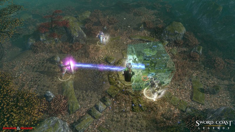 Immagine di Sword Coast Legends per PC Windows