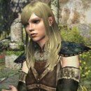 Dragon's Dogma Online chiuso entro la fine dell'anno