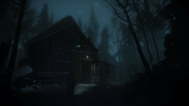 Immagine di Until Dawn (2015) per PlayStation 4
