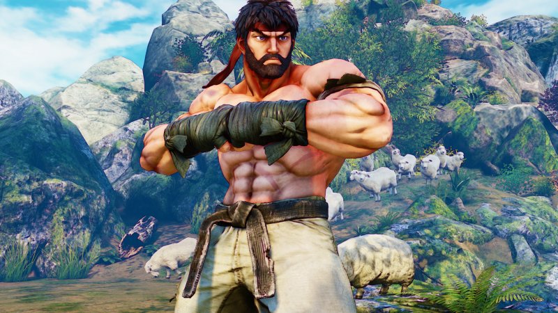 Immagine di Street Fighter V per PlayStation 4