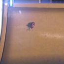 Le prime impressioni su Tony Hawk's Pro Skater 5 sono disastrose