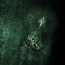 La prima espansione di Sunless Sea, "Zubmariner", ha una data e un nuovo trailer