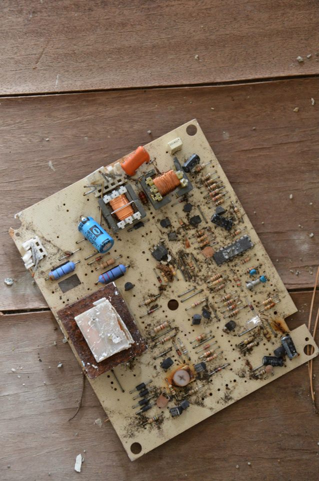 Immagine di Curiosità