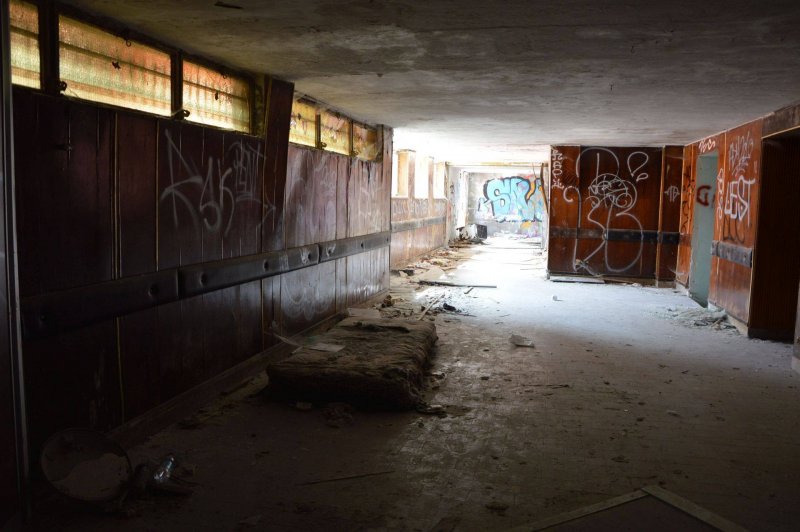 Immagine di Curiosità