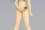 Un'anticipazione sui pacchetti Extreme Sexy Costume di Dead or Alive Xtreme 3 - Notizia