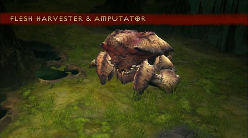 Arriva la quinta stagione Arriva la quinta stagione