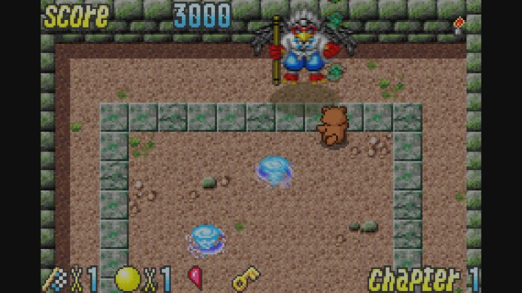 Pocky & Rocky with Becky