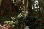 Qualche nuova immagine su Endor per Star Wars: Battlefront mostra la Luna di Endor - Notizia