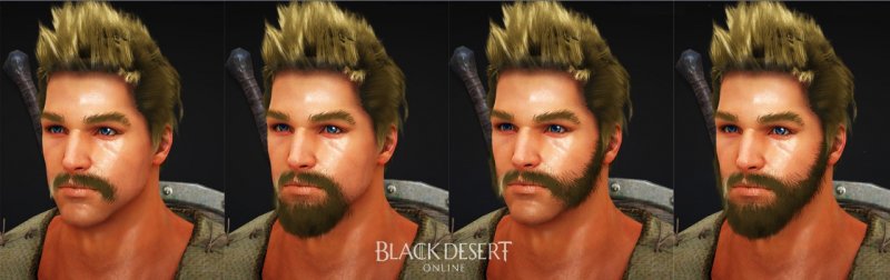 Immagine di Black Desert Online per PC Windows