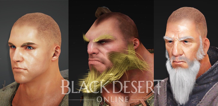 Immagine di Black Desert Online per PC Windows