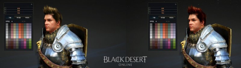 Immagine di Black Desert Online per PC Windows