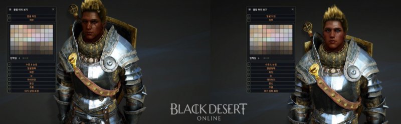 Immagine di Black Desert Online per PC Windows