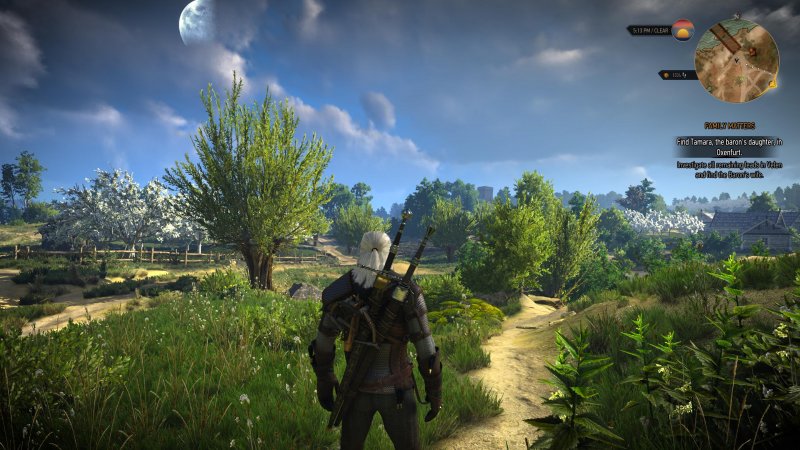 Immagine di The Witcher 3: Wild Hunt per PC Windows