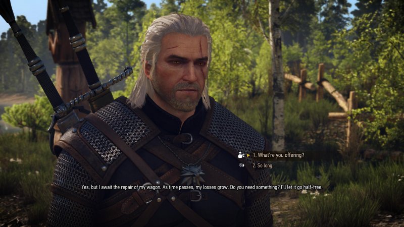 Immagine di The Witcher 3: Wild Hunt per PC Windows