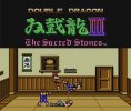 Double Dragon III: The Rosetta Stone per Nintendo Wii U