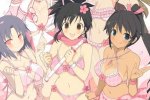 Senran Kagura Estival Versus - Il trailer delle ragazze dell'Accademia Hebijo - Notizia