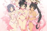 Chiedereste mai un appuntamento a un cuscino? Sì, se fosse quello di Senran Kagura Estival Versus - Notizia