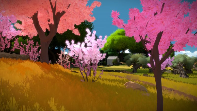 The Witness, il miglior puzzle game di sempre? The Witness, il miglior puzzle game di sempre?