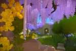 The Witness completato in 25 minuti - Notizia