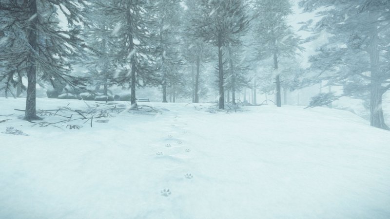 Una gita ad Atamipek Lake Una gita ad Atamipek Lake