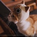 Una serie di video miciosi per la serie Monster Hunter