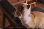 Una serie di video miciosi per la serie Monster Hunter - Notizia