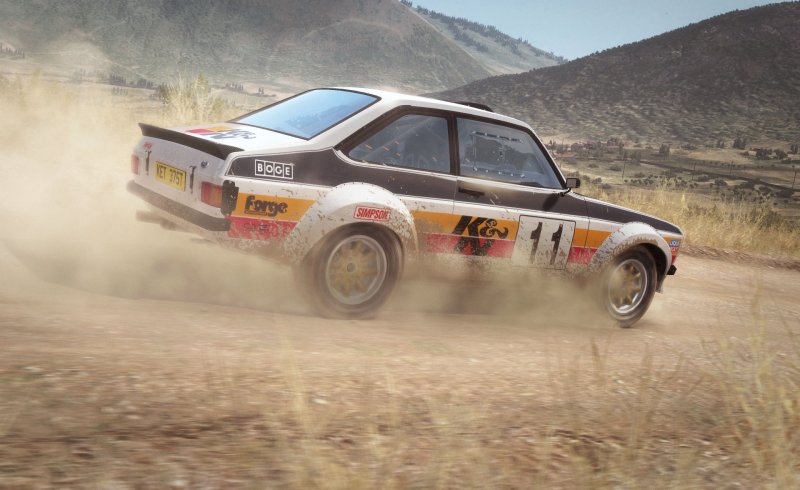 Immagine di DiRT Rally per PC Windows