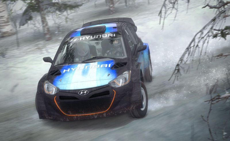 Immagine di DiRT Rally per PC Windows