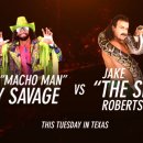 Il trailer del pacchetto Hall of Fame per WWE 2K16