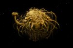 Dopo il trailer, ecco una galleria per Samorost 3 - Notizia