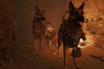 Una mod di Fallout 4 permette di giocare nei panni di Dogmeat - Notizia