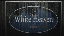 White Heaven - Nuovo teaser trailer