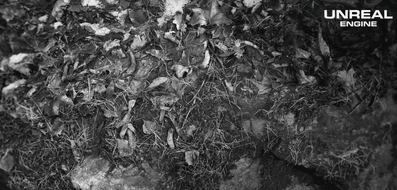Immagine di Unreal Engine