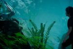 Grande successo per la Platinum Demo di Final Fantasy XV - Notizia