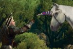 Numeri da capogiro per l'espansione Blood and Wine di The Witcher 3: Wild Hunt - Notizia