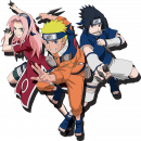 La posizione del ninja