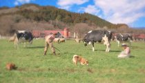 Story of Seasons: Good Friends of Three Villages - Secondo trailer giapponese
