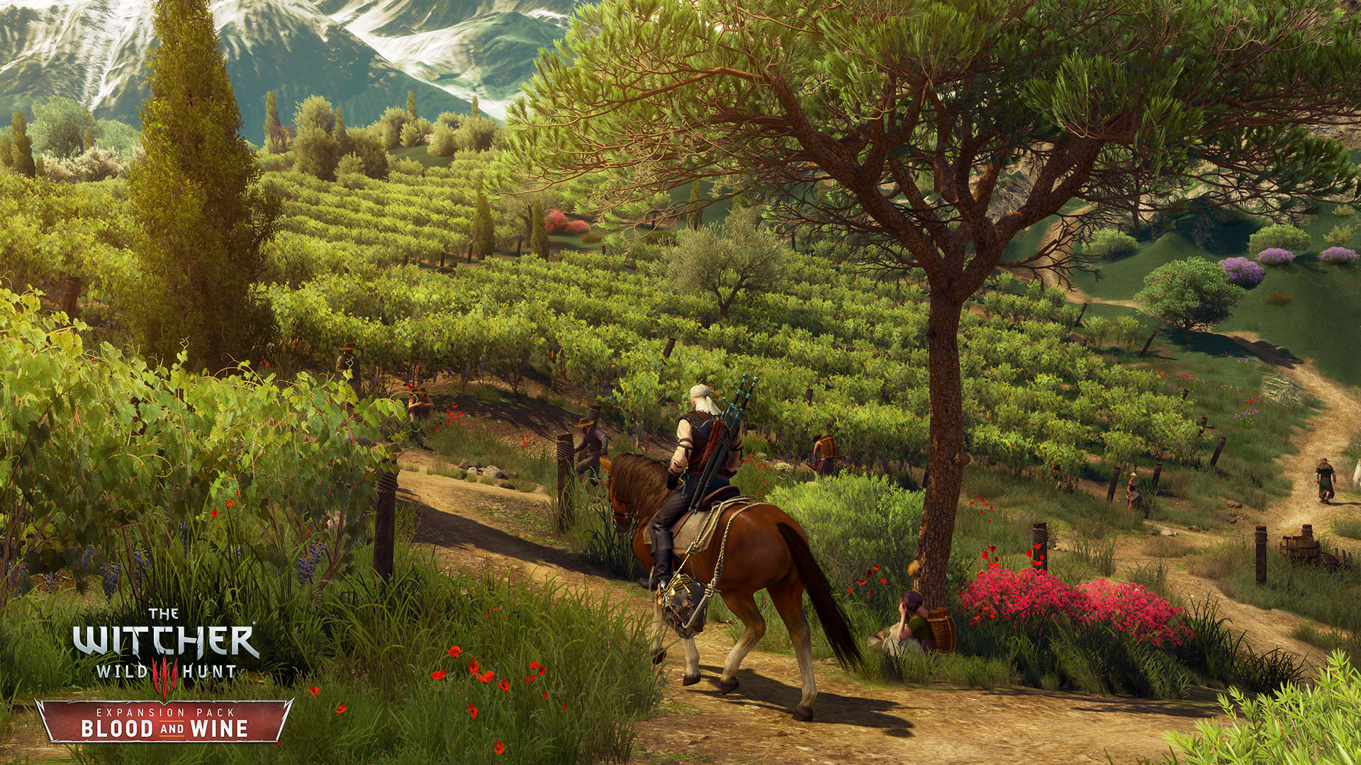 The Witcher 3 Luoghi Di Potere
