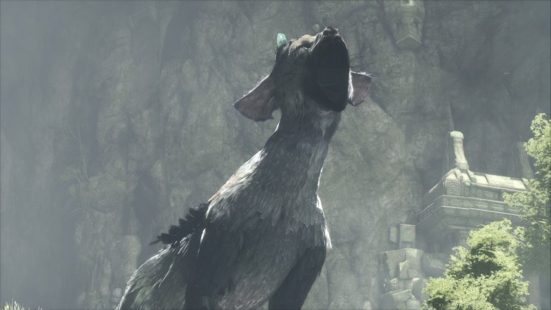 Immagine di The Last Guardian per PlayStation 4