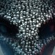 Il bundle XCOM complete vi darà accesso all'intera serie a un prezzo da mascella slogata