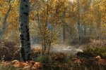 Su PC la Skyrim Special Edition sarà gratuita per tutti quelli che possiedo la Legendary Edition - Notizia