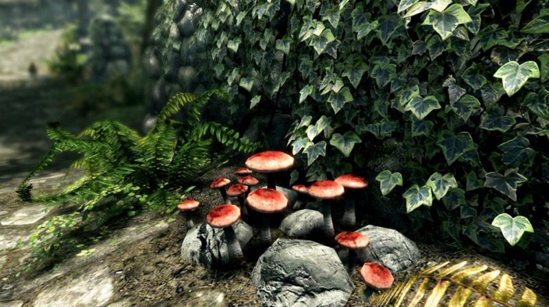 Immagine di The Elder Scrolls V: Skyrim - Special Edition per PC Windows